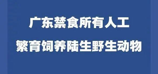 今日夹江招工最新动态，就业机会与未来发展展望