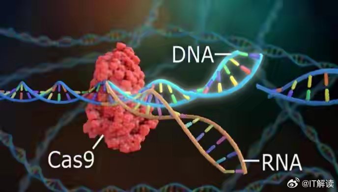 基因编辑技术的新突破引领生命科学新纪元