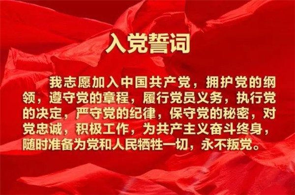 入党誓词最新版，信仰、责任与担当的庄严誓言