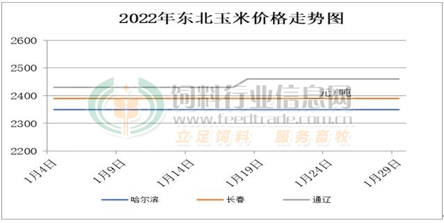 东北玉米最新价格行情解析