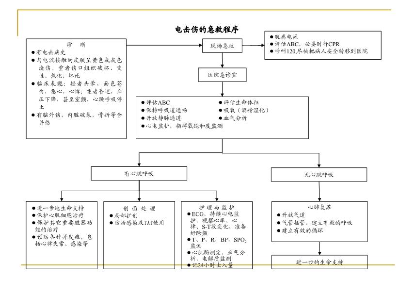 急诊抢救流程图最新版，提升急救效率的关键路径解析