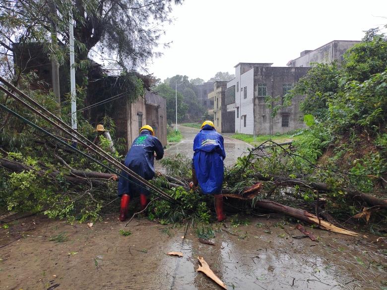 电白公交车最新路线，连接城市，服务民生出行