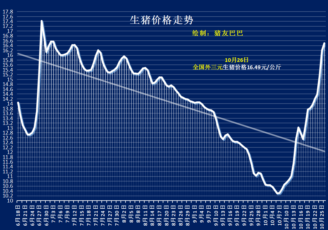 灵宝猪价最新动态