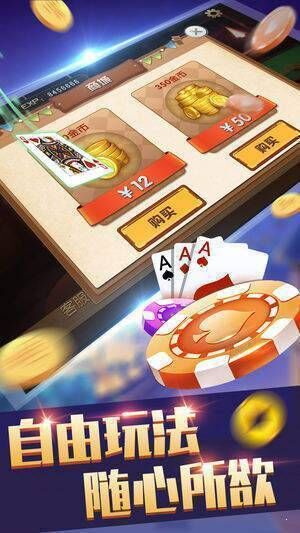 最新金星棋牌探索，游戏魅力与特色深度解析