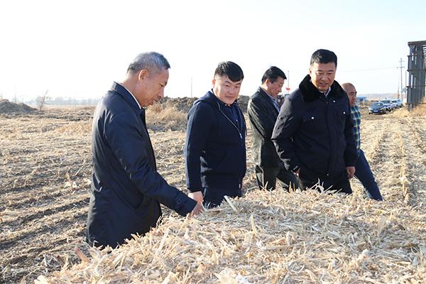 宽城区兰家镇最新规划揭晓，塑造未来城市新面貌