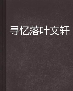 叶忆落最新作品集，文学魅力之旅的探索