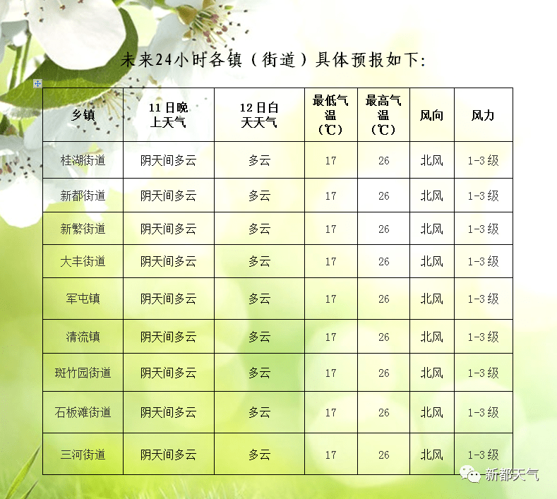 2024年12月12日 第11页