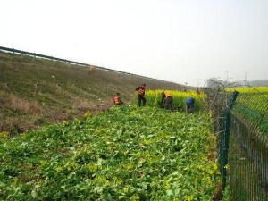 安厚农场新项目，现代农业新标杆引领者