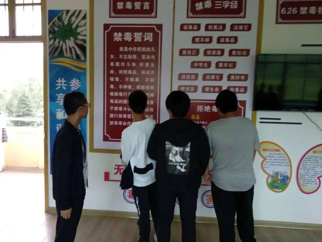 李墩镇最新项目，地区发展强大引擎引领之路